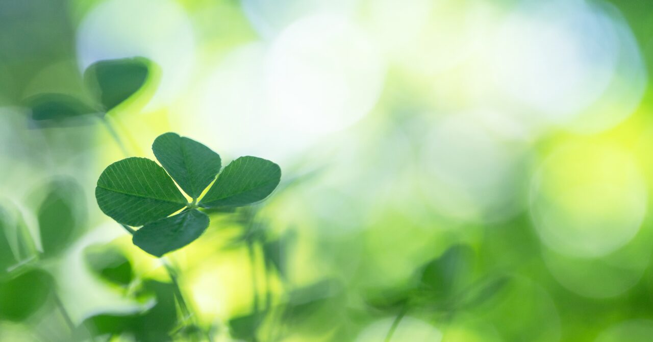 四葉のクローバー